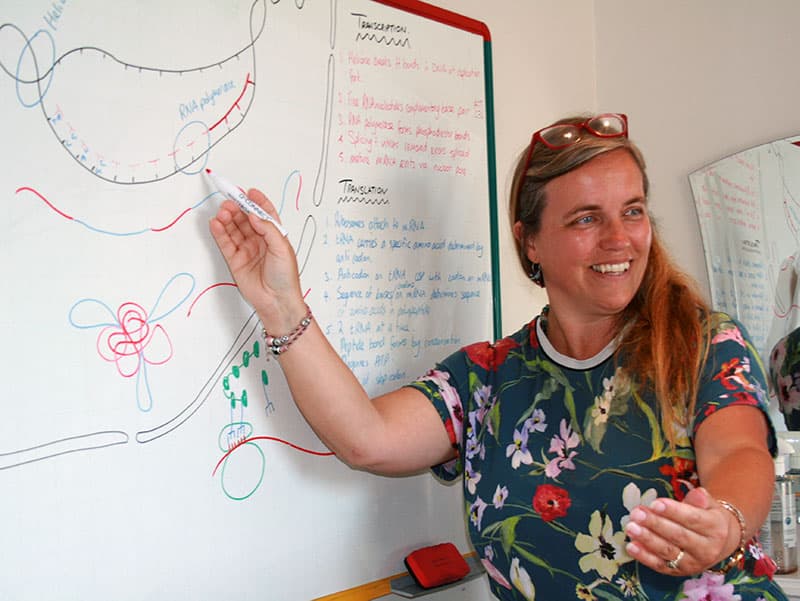 Jeanette teaching GCSE Science at the whiteboard